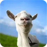 模拟山羊国际服