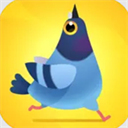 疯狂的鸽子模拟手机版