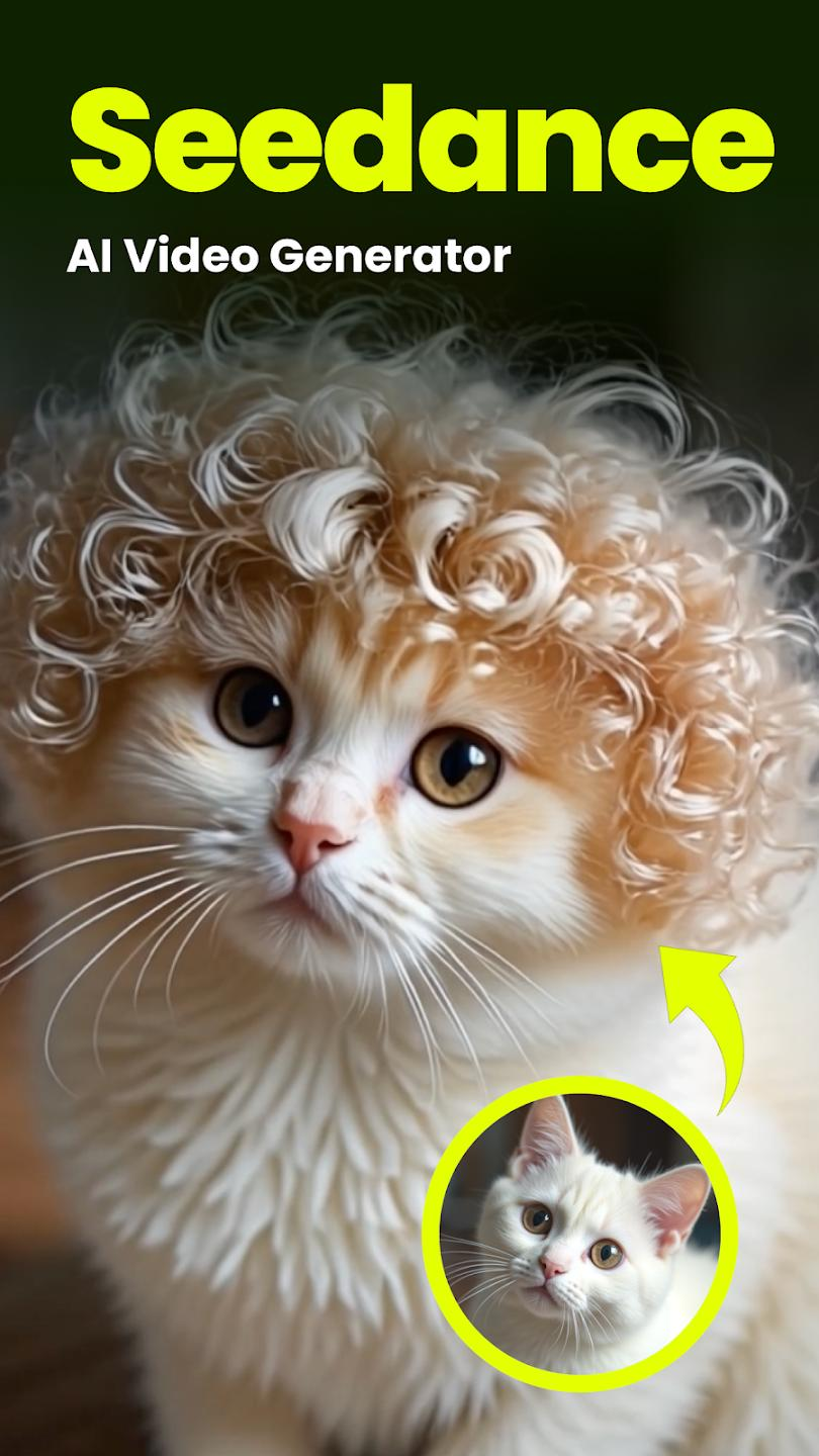 Seedance安卓版