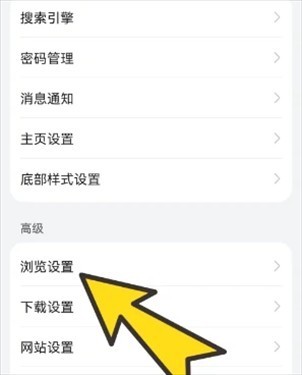 波波浏览器海外版