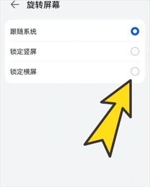 波波浏览器海外版