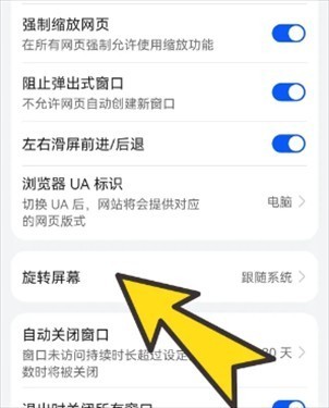 波波浏览器海外版
