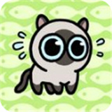冒险猫小游戏