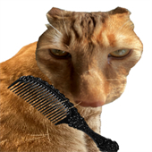 给猫梳毛模拟器