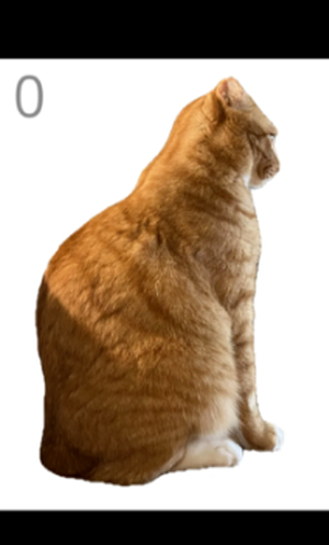 给猫梳毛模拟器