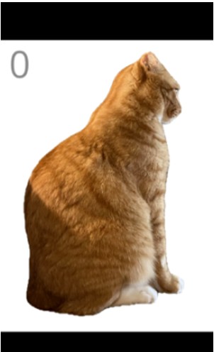 给猫梳毛模拟器