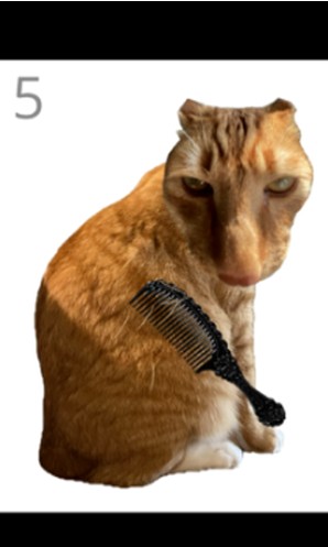 给猫梳毛模拟器