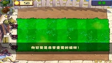 植物大战僵尸北美汉化版