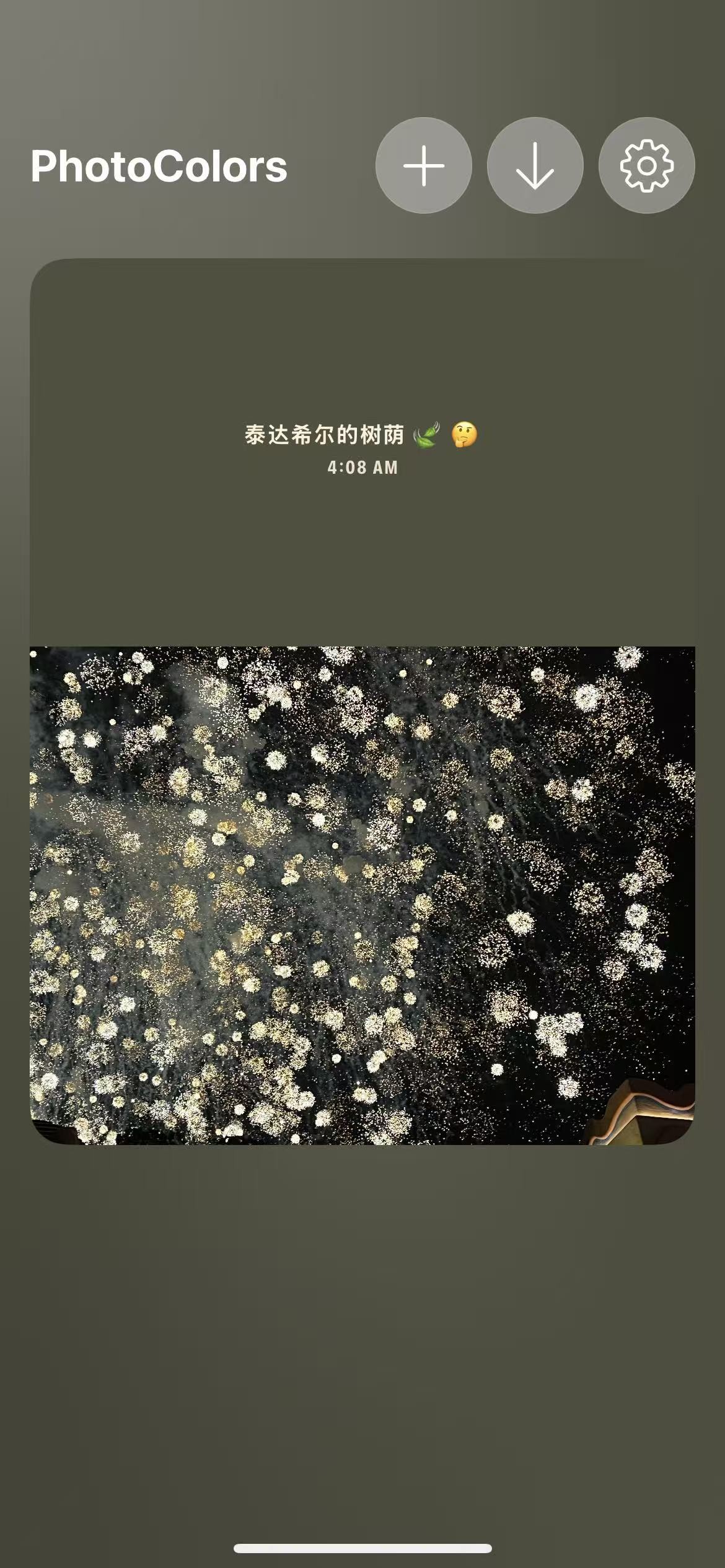 photocolors调色安卓
