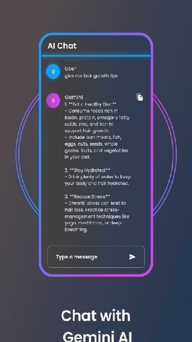 Gemini人工智能中文版截图4