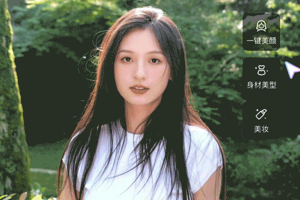 Wink视频修复软件