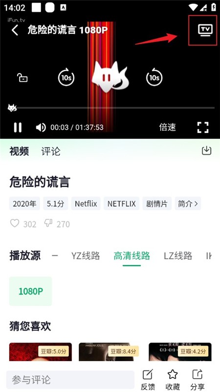 茶杯狐绿色版