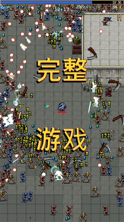 Vampire Survivors手机版截图4