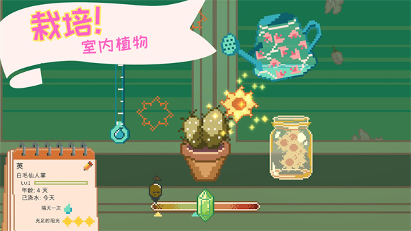 windowgarden游戏截图2