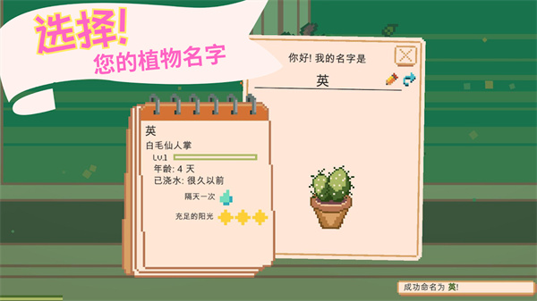 windowgarden游戏截图4