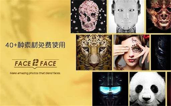 Face2Face截图3