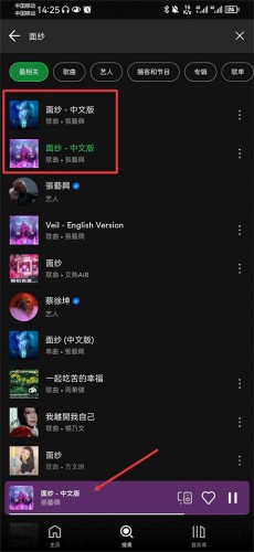 Spotify听歌说明图2
