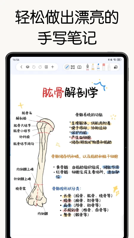 自由笔记说明图1