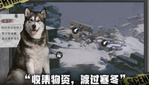 我在末日捡垃圾游戏完整版说明图5